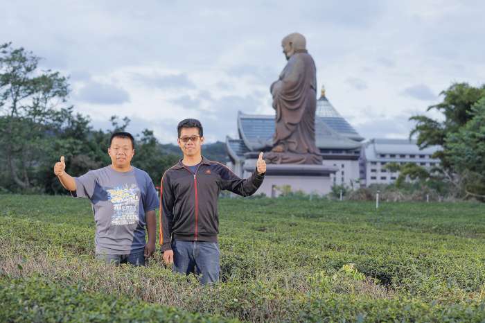 新竹峨眉鄉-欣欣製茶廠-茶園景觀