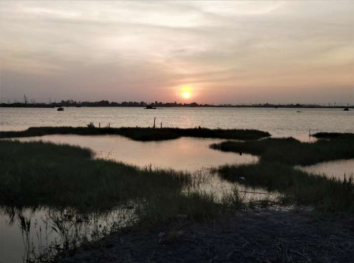 雲林-口湖-成龍濕地 雲林口湖鄉-成龍濕地