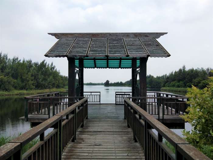 雲林-口湖-椬梧滯洪池 雲林口湖鄉-椬梧滯洪池